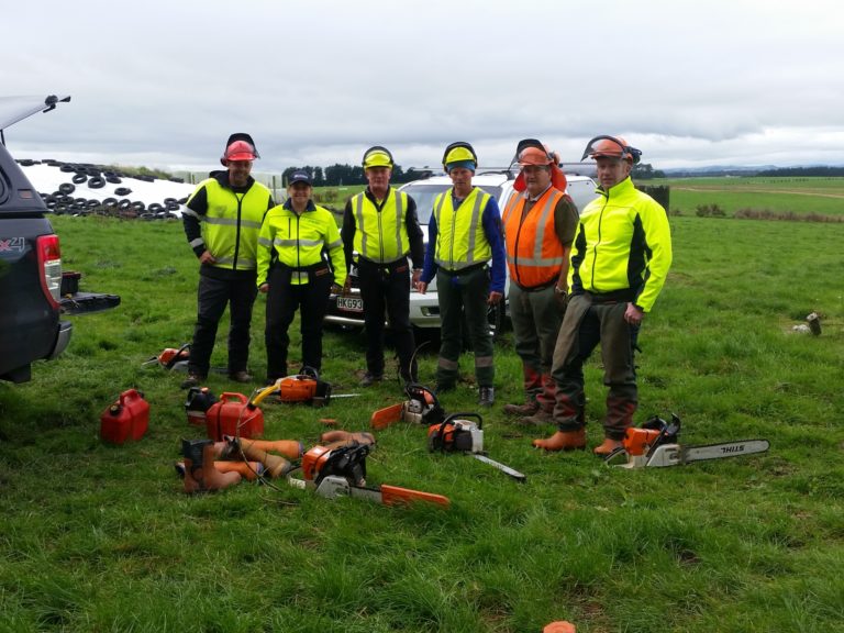 Chainsaw Training